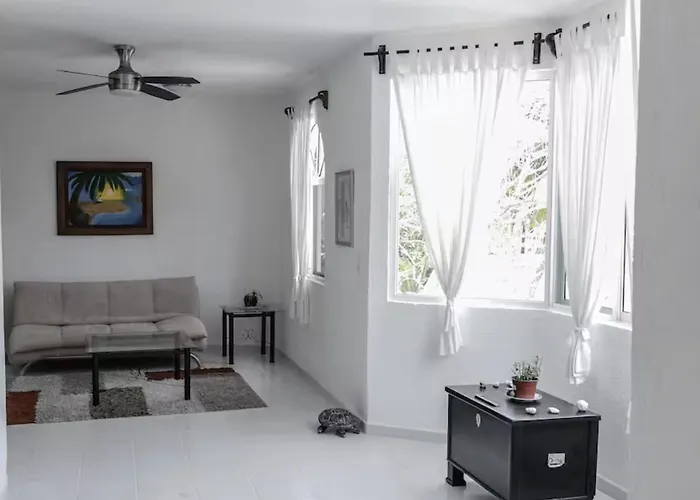 Cozy Studios, Walking Distance To The Puerto Morelos